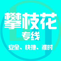 泉州到攀枝花物流专线,泉州到攀枝花物流公司,泉州到攀枝花货运专线2
